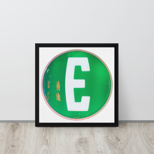 Edsel Globe Style Design Framed canvas